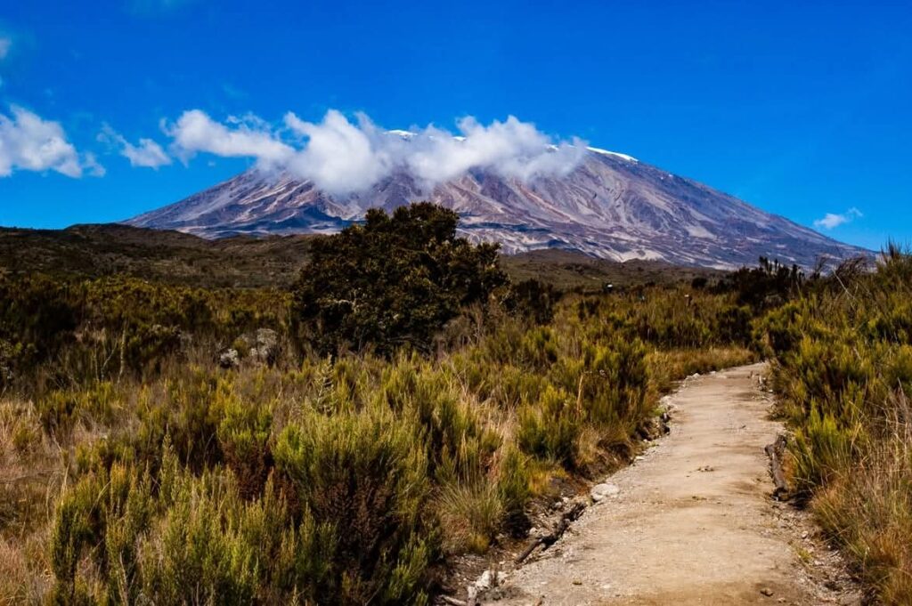 10 Reasons Why You Should Climb Mount Kilimanjaro with Adventrek Safari 10 Reasons Why You Should Climb Mount Kilimanjaro with Adventrek Safari